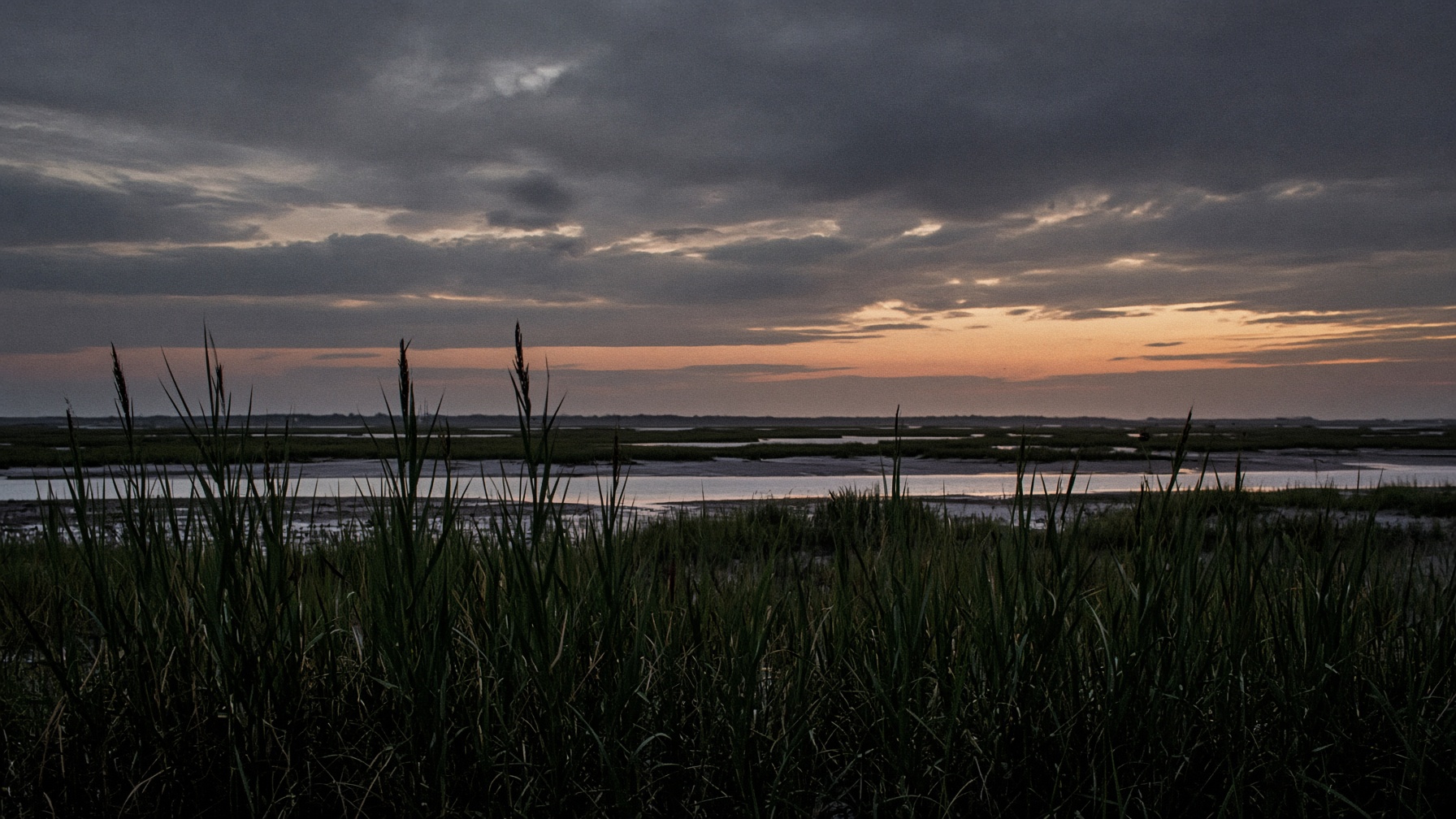 South Jersey salt marsh at last light